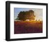 Trees, Poppies and Deer III-Chris Vest-Framed Art Print