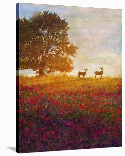 Trees, Poppies and Deer IV-Chris Vest-Stretched Canvas