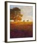 Trees, Poppies and Deer IV-Chris Vest-Framed Art Print