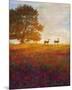 Trees, Poppies and Deer IV-Chris Vest-Mounted Art Print
