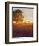 Trees, Poppies and Deer IV-Chris Vest-Framed Art Print