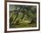 Trees, Provence, 1912-Derwent Lees-Framed Giclee Print