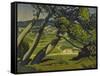 Trees, Provence, 1912-Derwent Lees-Framed Stretched Canvas