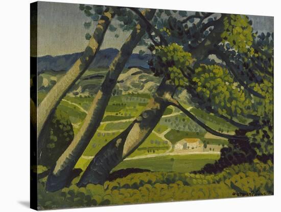 Trees, Provence, 1912-Derwent Lees-Stretched Canvas