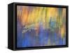 Trees Reflected in Car Window-Nancy Rotenberg-Framed Stretched Canvas