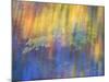 Trees Reflected in Car Window-Nancy Rotenberg-Mounted Photographic Print
