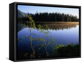 Trees Reflected in Lake Grand Teton National Park, Wyoming, USA-Rob Blakers-Framed Stretched Canvas