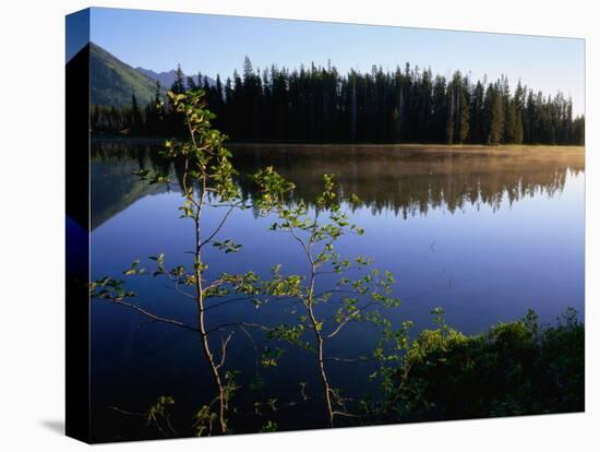 Trees Reflected in Lake Grand Teton National Park, Wyoming, USA-Rob Blakers-Stretched Canvas