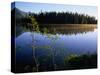 Trees Reflected in Lake Grand Teton National Park, Wyoming, USA-Rob Blakers-Stretched Canvas