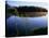 Trees Reflected in Lake Grand Teton National Park, Wyoming, USA-Rob Blakers-Stretched Canvas