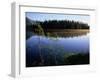 Trees Reflected in Lake Grand Teton National Park, Wyoming, USA-Rob Blakers-Framed Premium Photographic Print