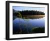 Trees Reflected in Lake Grand Teton National Park, Wyoming, USA-Rob Blakers-Framed Photographic Print