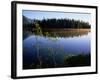 Trees Reflected in Lake Grand Teton National Park, Wyoming, USA-Rob Blakers-Framed Photographic Print
