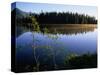 Trees Reflected in Lake Grand Teton National Park, Wyoming, USA-Rob Blakers-Stretched Canvas