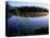 Trees Reflected in Lake Grand Teton National Park, Wyoming, USA-Rob Blakers-Stretched Canvas