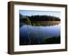 Trees Reflected in Lake Grand Teton National Park, Wyoming, USA-Rob Blakers-Framed Photographic Print