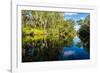 Trees reflected in the Noosa River, Cooloola National Park, Queensland, Australia-Mark A Johnson-Framed Photographic Print