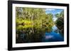 Trees reflected in the Noosa River, Cooloola National Park, Queensland, Australia-Mark A Johnson-Framed Photographic Print