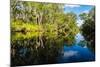 Trees reflected in the Noosa River, Cooloola National Park, Queensland, Australia-Mark A Johnson-Mounted Photographic Print