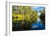 Trees reflected in the Noosa River, Cooloola National Park, Queensland, Australia-Mark A Johnson-Framed Photographic Print