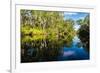 Trees reflected in the Noosa River, Cooloola National Park, Queensland, Australia-Mark A Johnson-Framed Photographic Print