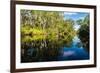 Trees reflected in the Noosa River, Cooloola National Park, Queensland, Australia-Mark A Johnson-Framed Photographic Print