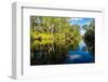 Trees reflected in the Noosa River, Cooloola National Park, Queensland, Australia-Mark A Johnson-Framed Photographic Print