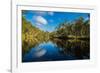 Trees reflected in the Noosa River, Cooloola National Park, Queensland, Australia-Mark A Johnson-Framed Photographic Print