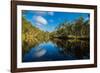 Trees reflected in the Noosa River, Cooloola National Park, Queensland, Australia-Mark A Johnson-Framed Photographic Print