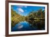 Trees reflected in the Noosa River, Cooloola National Park, Queensland, Australia-Mark A Johnson-Framed Photographic Print