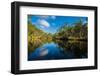 Trees reflected in the Noosa River, Cooloola National Park, Queensland, Australia-Mark A Johnson-Framed Photographic Print