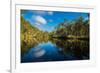 Trees reflected in the Noosa River, Cooloola National Park, Queensland, Australia-Mark A Johnson-Framed Photographic Print