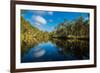 Trees reflected in the Noosa River, Cooloola National Park, Queensland, Australia-Mark A Johnson-Framed Photographic Print