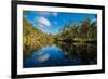 Trees reflected in the Noosa River, Cooloola National Park, Queensland, Australia-Mark A Johnson-Framed Photographic Print