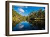 Trees reflected in the Noosa River, Cooloola National Park, Queensland, Australia-Mark A Johnson-Framed Photographic Print