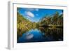 Trees reflected in the Noosa River, Cooloola National Park, Queensland, Australia-Mark A Johnson-Framed Photographic Print