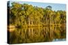 Trees reflected in the Noosa River, Cooloola National Park, Queensland, Australia-Mark A Johnson-Stretched Canvas