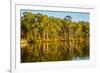 Trees reflected in the Noosa River, Cooloola National Park, Queensland, Australia-Mark A Johnson-Framed Photographic Print