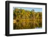 Trees reflected in the Noosa River, Cooloola National Park, Queensland, Australia-Mark A Johnson-Framed Photographic Print