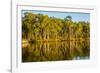 Trees reflected in the Noosa River, Cooloola National Park, Queensland, Australia-Mark A Johnson-Framed Photographic Print