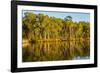 Trees reflected in the Noosa River, Cooloola National Park, Queensland, Australia-Mark A Johnson-Framed Photographic Print