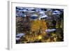 Trees Reflected in Water on the Banks of the River Orkla, Norway, September 2008-Lundgren-Framed Photographic Print