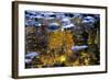 Trees Reflected in Water on the Banks of the River Orkla, Norway, September 2008-Lundgren-Framed Photographic Print