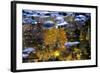 Trees Reflected in Water on the Banks of the River Orkla, Norway, September 2008-Lundgren-Framed Photographic Print