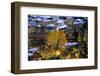 Trees Reflected in Water on the Banks of the River Orkla, Norway, September 2008-Lundgren-Framed Photographic Print