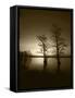 Trees Reflected in Water, Reelfoot National Wildlife Refuge, Tennessee, USA-Adam Jones-Framed Stretched Canvas