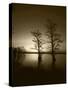 Trees Reflected in Water, Reelfoot National Wildlife Refuge, Tennessee, USA-Adam Jones-Stretched Canvas