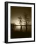 Trees Reflected in Water, Reelfoot National Wildlife Refuge, Tennessee, USA-Adam Jones-Framed Photographic Print