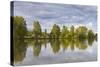 Trees Reflecting in the River Dordogne, Dordogne, France, Europe-Julian Elliott-Stretched Canvas