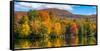 Trees reflection on water, Sally's Pond, West Bolton, Quebec, Canada-null-Framed Stretched Canvas